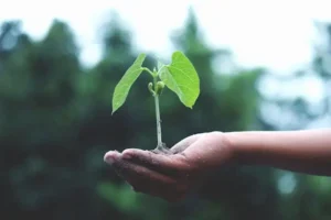 Agricultura Familiar - Meio Ambiente