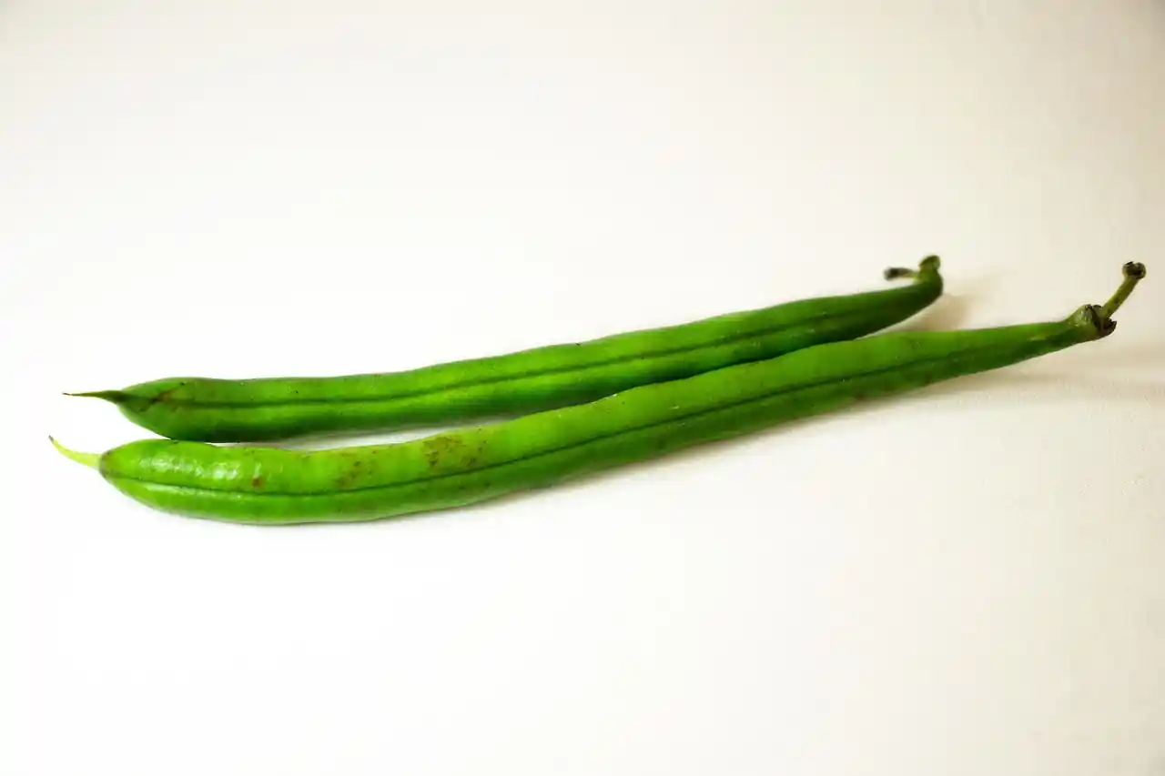 O Cultivo do Feijão no Brasil