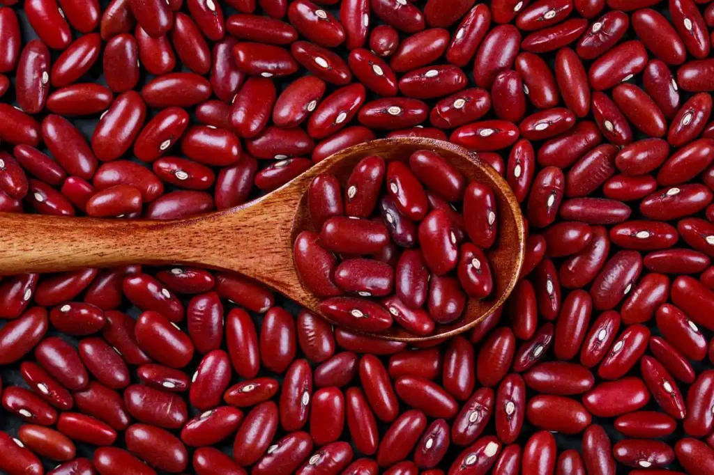 o cultivo do feijão no brasil (4)