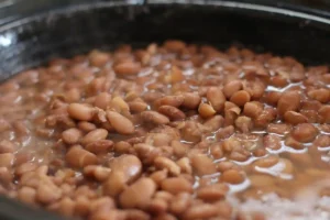 O Cultivo do Feijão no Brasil