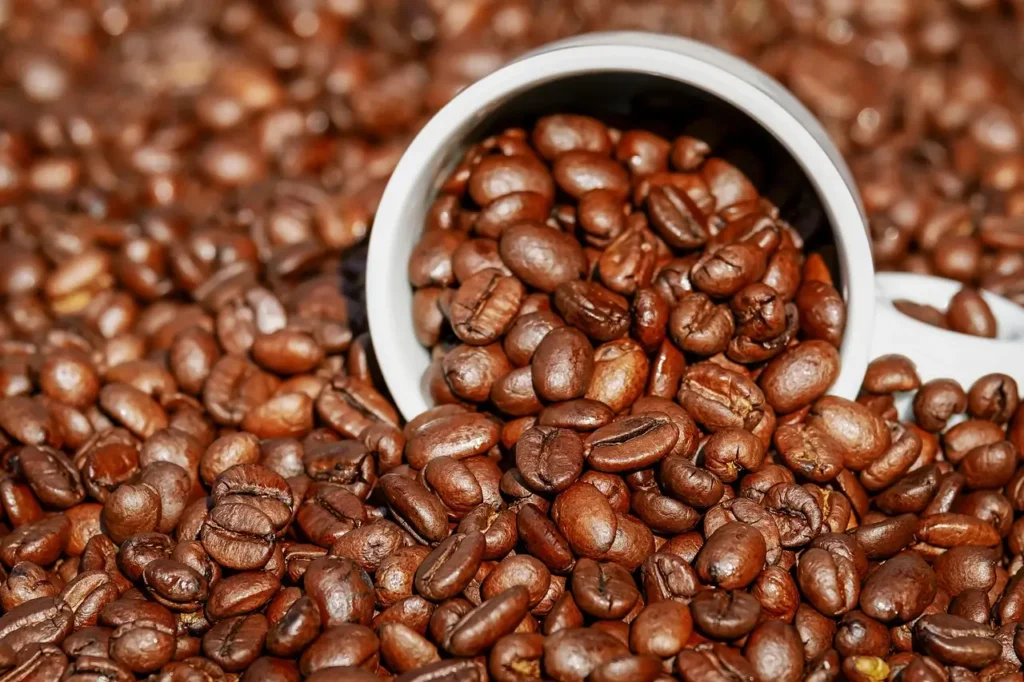 Projetos Agrícolas Especiais Para o Cultivo do Café