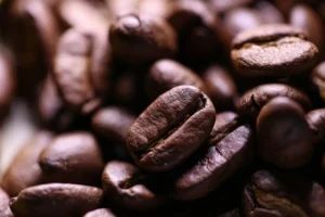 Projetos Agrícolas Especiais Para o Cultivo do Café