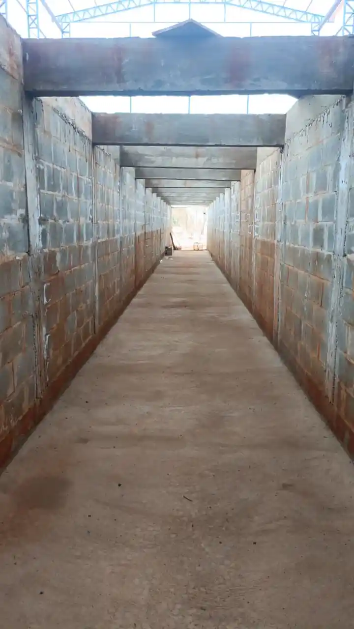 rbarcelini galpões, infraestruturas e máquinas agrícolas galpão e infraestrutura (39)